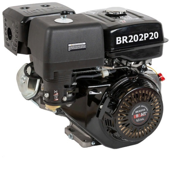 Двигатель 6,5 л.c. d=20мм. Brait BR202P20 в Энгельсе