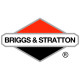 Двигатели Briggs-Stratton в Энгельсе